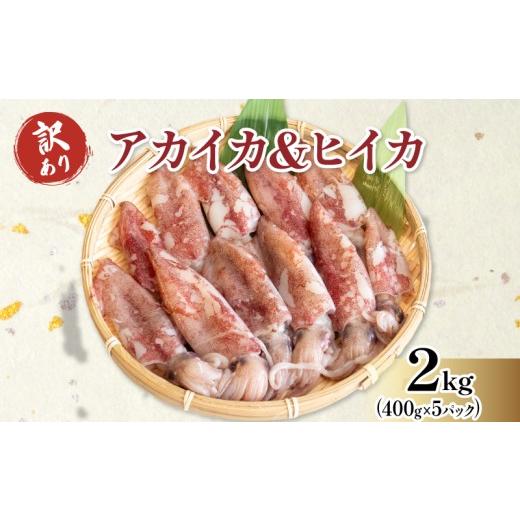 ふるさと納税 イカ 愛知県 南知多町 訳あり 小イカ ( アカイカ ヒイカ ) 約2kg(400gx5パック) 不揃い 小分け 冷凍 刺身 セリから直送 ケンサキイカ ふらい に…