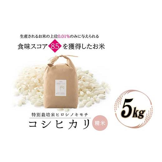 ふるさと納税 米 コシヒカリ 富山県 立山町 特別栽培米 コシヒカリ ヒロシノキモチ 精米 5kg ブランド米 銘柄米 国産 米 お米 日本米 ギフト 贈り物 備蓄 防災…