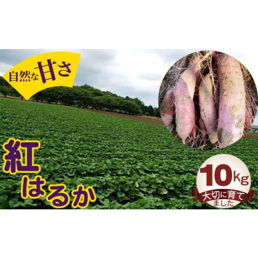 ふるさと納税 野菜類 サツマイモ 茨城県 坂東市 紅はるか10kg ／ お芋 甘い さつまいも 茨城県 No.406の画像