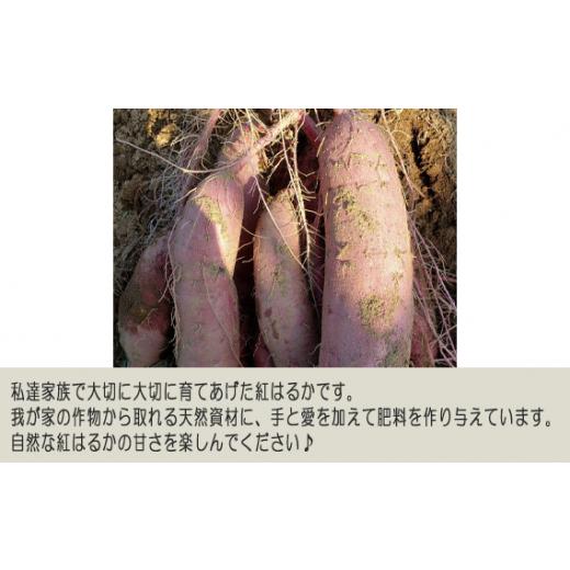 ふるさと納税 野菜類 サツマイモ 茨城県 坂東市 紅はるか10kg ／ お芋 甘い さつまいも 茨城県 No.406の画像