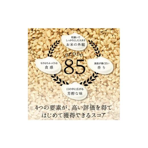 ふるさと納税 米 コシヒカリ 富山県 立山町 特別栽培米 コシヒカリ ヒロシノキモチ 無洗米 10kg ブランド米 銘柄米 国産 米 お米 日本米 ギフト 贈り物 備蓄 …_3
