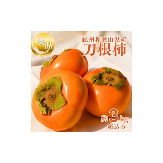 ふるさと納税 果物類 柿 和歌山県 紀美野町 刀根柿 約 3kg 箱込み 秀品 / カキ 甘い 種なし 美味しい 秋の味覚 和歌山県 紀美野町 2026年9月下旬〜10月上旬に…