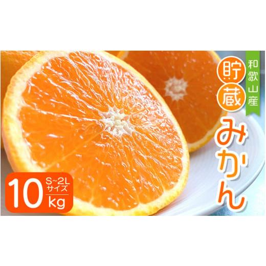 ふるさと納税 果物類 みかん 和歌山県 紀美野町 先行予約 S〜2L サイズおまかせ 紀美野町産 貯蔵みかん 10kg 2026年1月中旬〜2月下旬に順次発送致 / みかん …
