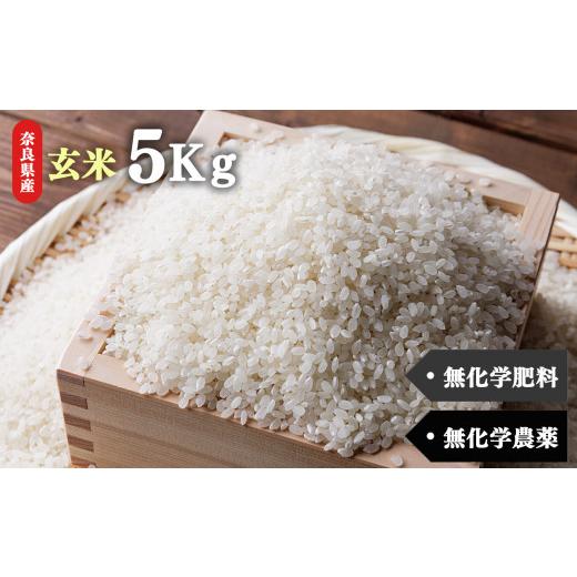 ふるさと納税 玄米 奈良県 五條市 生命の農法(無化学農薬・無化学肥料栽培)お米(5kg)玄米 | 米 こめ コメ お米 おこめ オコメ 玄米 げんまい ゲンマイ 奈…