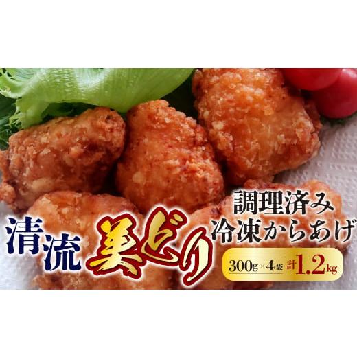 ふるさと納税 岐阜県 岐阜市 食品添加物不使用[清流美どり からあげ]調理済み レンジで簡単