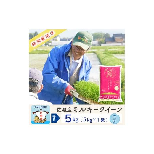 ふるさと納税 米 ミルキークイーン 新潟県 佐渡市  3か月定期便 佐渡島産ミルキークイーン 無洗米5kg 令和7年産 特別栽培米の画像
