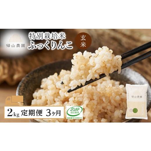ふるさと納税 玄米 北海道 知内町 令和7年産新米予約 定期便 3ヶ月 特別栽培米産地直送 玄米 ふっくりんこ 2kg×3回 [帰山農園] 米 北海道米 北海道産米 ブ…