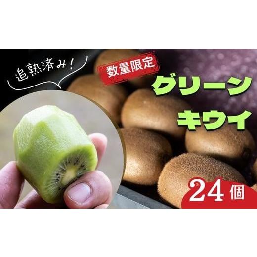 ふるさと納税 果物類 埼玉県 北本市 先行予約 限定 5箱 キウイ フルーツ (グリーン) 24個| グリーンキウイ キウイ フルーツ きうい ギフト 季節 果物 くだもの…