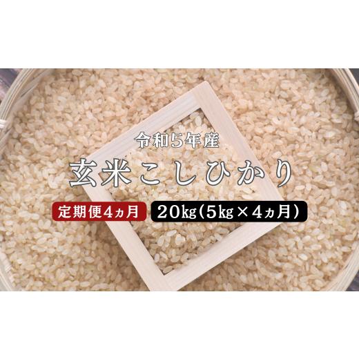 ふるさと納税 島根県 川本町 150268[令和5年産/お米定期便/4ヵ月]しまね川本 玄米 こしひかり5kg (計20kg)