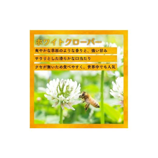 ふるさと納税 加工品等 はちみつ 北海道 浦河町 国産純粋完熟はちみつ3種セット(れんげ・ホワイトクローバー・黄金草)ご家庭用計1.5kg 16-1320の画像