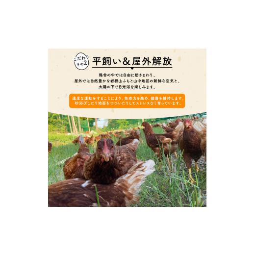ふるさと納税 卵（鶏、烏骨鶏等） 滋賀県 竜王町 定期便 卵 平飼い有精卵 20個×3ヵ月 割れ保証各3個 ( こんもり盛り上がるプルプルな卵白 大人気 滋賀竜王卵 …_4