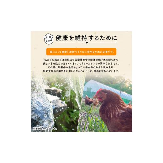 ふるさと納税 卵（鶏、烏骨鶏等） 滋賀県 竜王町 定期便 卵 平飼い有精卵 20個×3ヵ月 割れ保証各3個 ( こんもり盛り上がるプルプルな卵白 大人気 滋賀竜王卵 …_6