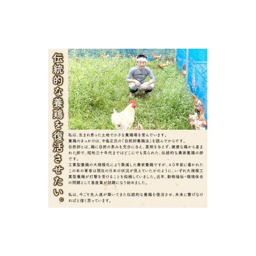 ふるさと納税 卵（鶏、烏骨鶏等） 滋賀県 竜王町 定期便 卵 平飼い有精卵 20個×3ヵ月 割れ保証各3個 ( こんもり盛り上がるプルプルな卵白 大人気 滋賀竜王卵 …_7