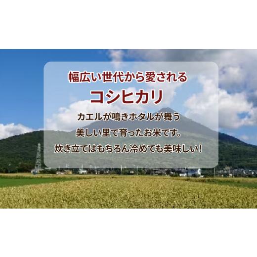 ふるさと納税 米 コシヒカリ 茨城県 土浦市  定期便 2ヶ月 令和7年産 筑波山麓ホタルの里厳選米コシヒカリ15kg 透き通った大粒米 離島への配送不可 2025年11月…の画像