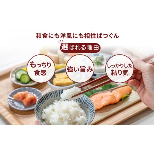 ふるさと納税 米 コシヒカリ 茨城県 土浦市  定期便 2ヶ月 令和7年産 筑波山麓ホタルの里厳選米コシヒカリ15kg 透き通った大粒米 離島への配送不可 2025年11月…の画像
