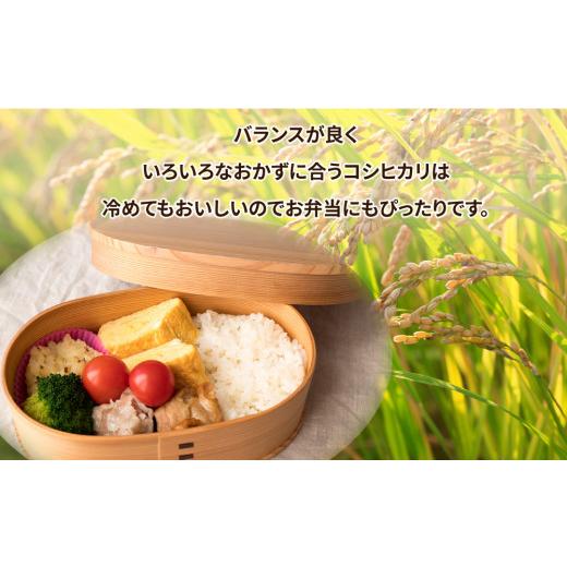ふるさと納税 米 コシヒカリ 茨城県 土浦市  定期便 2ヶ月 令和7年産 筑波山麓ホタルの里厳選米コシヒカリ15kg 透き通った大粒米 離島への配送不可 2025年11月…の画像