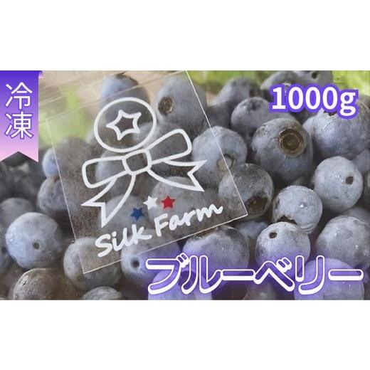 ふるさと納税 果物類 埼玉県 加須市 シルクファーム産 冷凍ブルーベリー1000g(500g×2パック) 粒ぞろいの冷凍ブルーベリー1000g(500g×2パック)