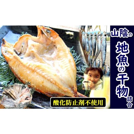 ふるさと納税 兵庫県 新温泉町 山陰のお魚干物詰め合わせ