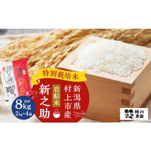 ふるさと納税 米 新潟県 村上市 精米即日発送 令和7年産米 新潟県村上市桃川産 特別栽培米 新之助8kg