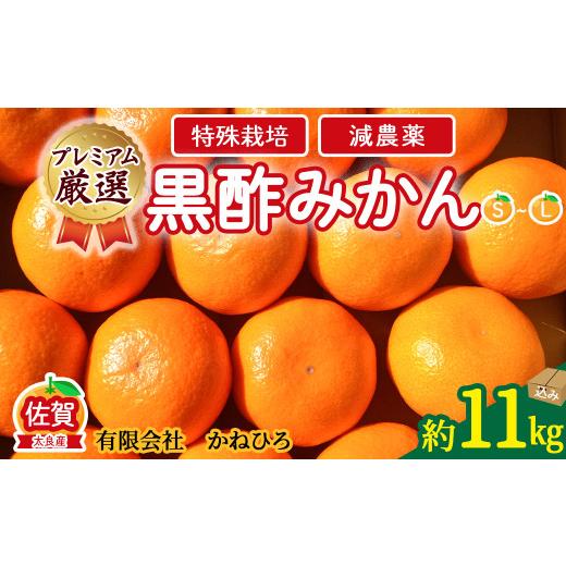 ふるさと納税 果物類 みかん 佐賀県 太良町 かねひろの黒酢みかん プレミアム 11kg 7営業日以内発送 2027年1月上旬まで順次発送予定 新鮮 黒酢アミノ酸 みかん…