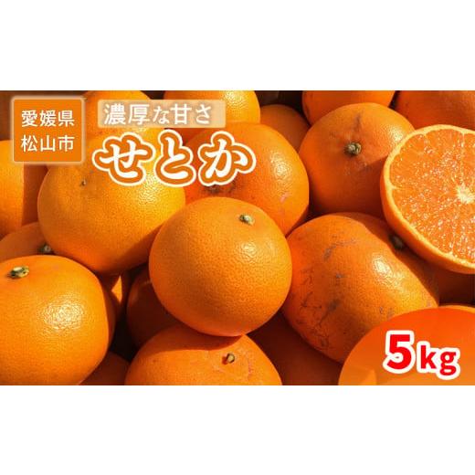 ふるさと納税 みかん・柑橘類 愛媛県 松山市 家庭用 せとか 5kg 約5kg ¥22,000