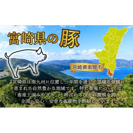 ふるさと納税 宮崎県 串間市 KU405 ＜2024年7月発送分＞宮崎県産 豚バラエティー 4.1kgセット ＜2024年7月発送分＞｜furusatochoice｜03