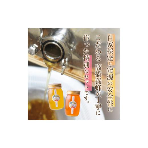 ふるさと納税 加工品等 はちみつ 静岡県 下田市 蜂蜜 食べ比べ セット 600g×2 はちみつ ハニー みかんの蜂蜜 下田の花々 味比べ 自家採蜜 おやつ パン ヨーグ…_2