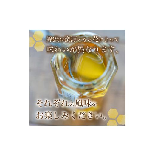 ふるさと納税 加工品等 はちみつ 静岡県 下田市 蜂蜜 食べ比べ セット 600g×2 はちみつ ハニー みかんの蜂蜜 下田の花々 味比べ 自家採蜜 おやつ パン ヨーグ…_5