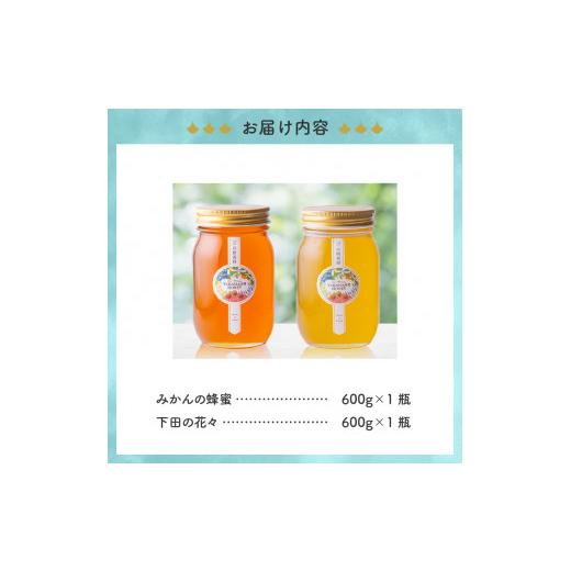 ふるさと納税 加工品等 はちみつ 静岡県 下田市 蜂蜜 食べ比べ セット 600g×2 はちみつ ハニー みかんの蜂蜜 下田の花々 味比べ 自家採蜜 おやつ パン ヨーグ…_6