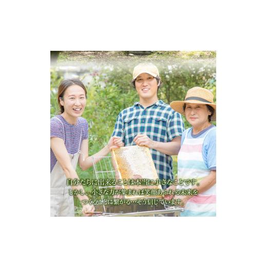 ふるさと納税 加工品等 はちみつ 静岡県 下田市 蜂蜜 食べ比べ セット 600g×2 はちみつ ハニー みかんの蜂蜜 下田の花々 味比べ 自家採蜜 おやつ パン ヨーグ…_8