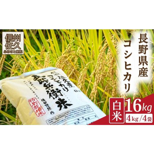 ふるさと納税 米 コシヒカリ 長野県 佐久市  令和8年産・白米16kg（4kg×4袋） 特別栽培米　五郎兵衛米 〈2026年10月中旬頃〜順次発送〉 先行予約　新米　信州…_1