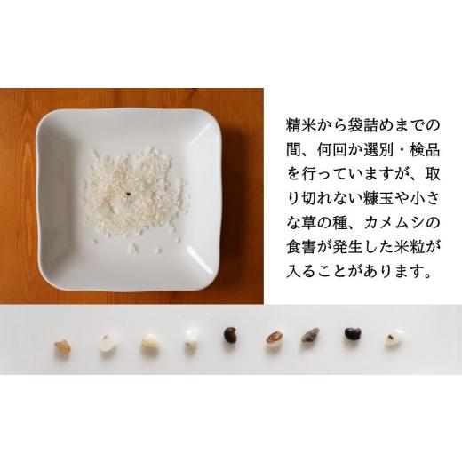 ふるさと納税 米 コシヒカリ 長野県 佐久市  令和8年産・白米16kg（4kg×4袋） 特別栽培米　五郎兵衛米 〈2026年10月中旬頃〜順次発送〉 先行予約　新米　信州…_6