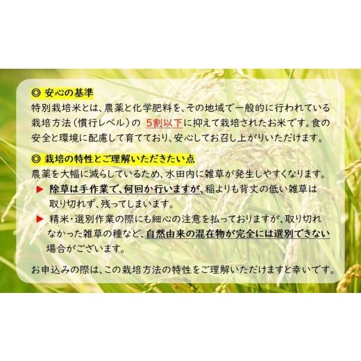 ふるさと納税 米 コシヒカリ 長野県 佐久市  令和8年産・白米16kg（4kg×4袋） 特別栽培米　五郎兵衛米 〈2026年10月中旬頃〜順次発送〉 先行予約　新米　信州…_7