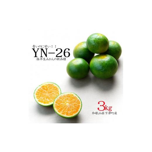 ふるさと納税 果物類 みかん 和歌山県 海南市 極早生みかん 約3kg 2S・S・Mサイズ 赤秀 和歌山県産 農園直送 まごころ産直みかん 9月より順次発送 北海道・沖…