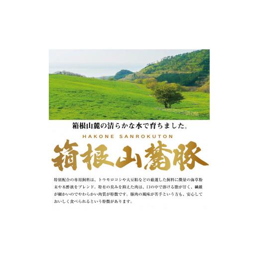 ふるさと納税 神奈川県 小田原市 箱根山麓豚　モモ・ウデ切り落とし３K盛り(500ｇ×６パック)【 箱根山麓豚 切り落とし 神奈川県 小田原市 】｜furusatochoice｜05