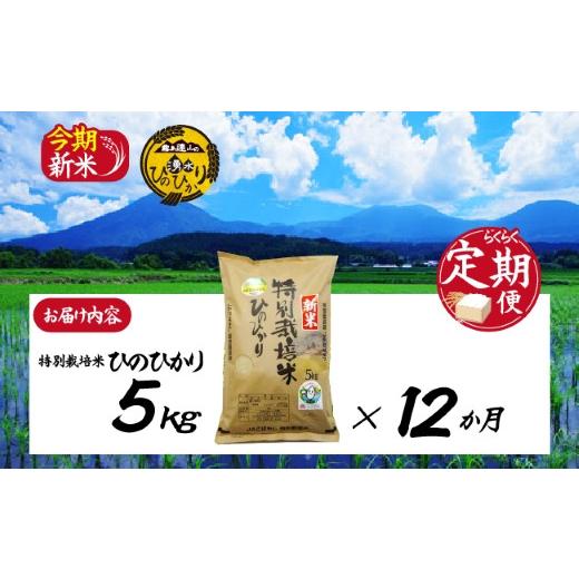ふるさと納税 宮崎県 小林市 【お米の定期便／12か月コース】霧島連山の湧水ヒノヒカリ特別栽培米（定期便 国産 米 精米済み 送料無料） 