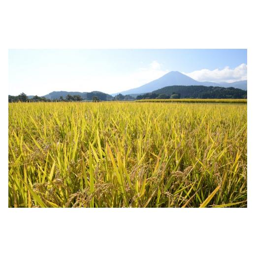 ふるさと納税 宮崎県 小林市 【お米の定期便／12か月コース】霧島連山の湧水ヒノヒカリ特別栽培米（定期便 国産 米 精米済み 送料無料） 