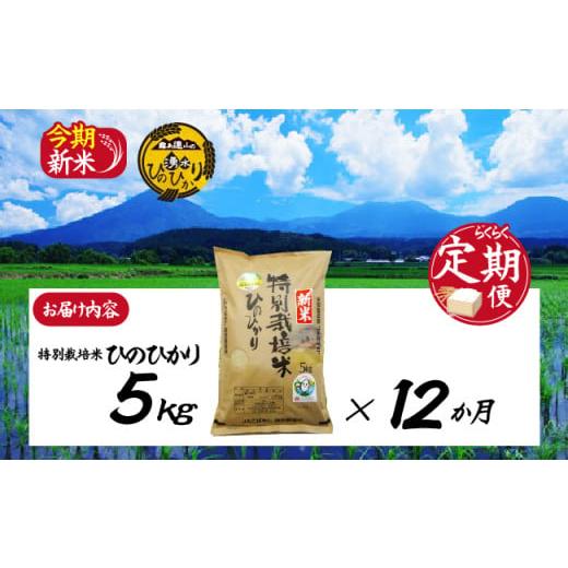 ふるさと納税 宮崎県 小林市 【お米の定期便／12か月コース】霧島連山の湧水ヒノヒカリ特別栽培米（定期便 国産 米 精米済み 送料無料） 
