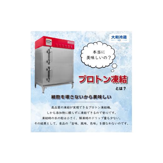 ふるさと納税 そば 生・半生めん 福島県 喜多方市 冷凍　手打ちなまそば　６食入　そばつゆ付き　 07208-0305-C_4
