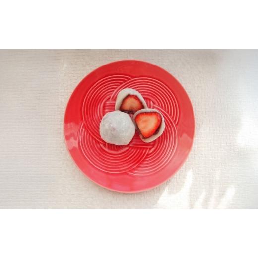 ふるさと納税 食器・グラス 皿 岐阜県 瑞浪市  美濃焼 結 19中皿 赤 2枚セット 瑞浪市 ／ JS企画 ／ 小田陶器 食器 プレート 皿 AZAZ165 赤_6