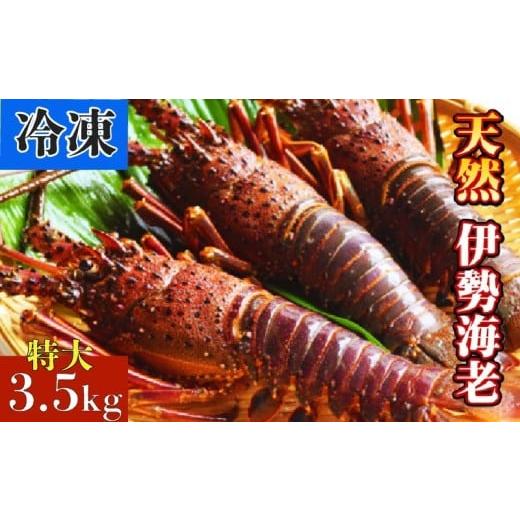 ふるさと納税 エビ 伊勢エビ 高知県 黒潮町 天然 伊勢海老 特大 3.5kg(4〜6尾)伊勢エビ 冷凍 国産 エビ 冷凍エビ えび 海老 海鮮 魚介類 魚介 高級海鮮 贈答…