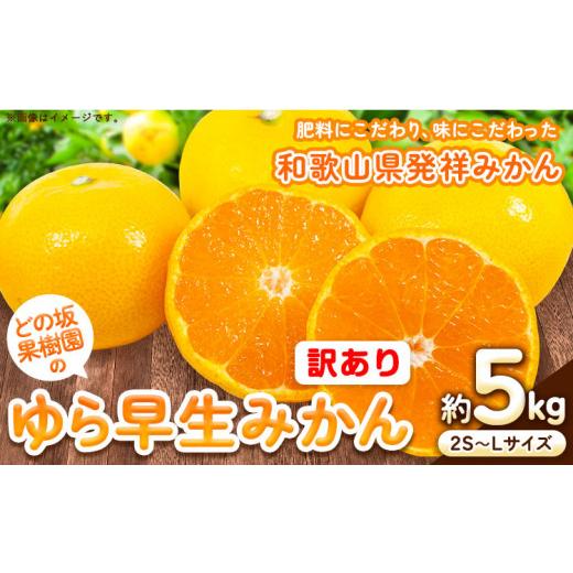 ふるさと納税 果物類 みかん 和歌山県 日高川町  先行予約 訳あり ゆら 早生 みかん 約 5kg (2S〜Lサイズ) どの坂果樹園《10月中旬-12月上旬頃出荷》 和歌山県… |  | 01