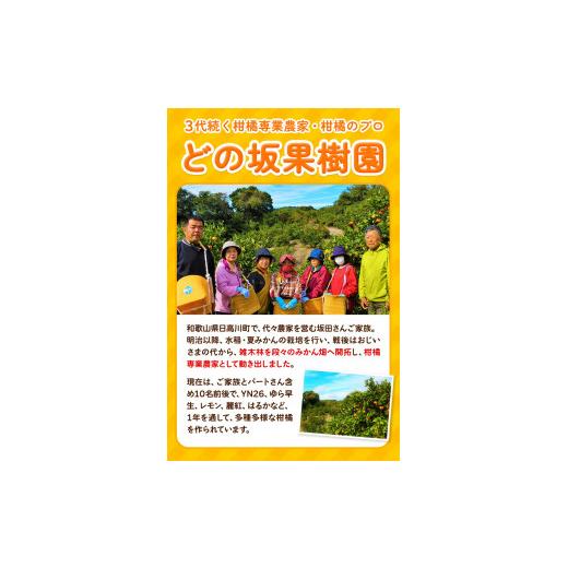 ふるさと納税 果物類 みかん 和歌山県 日高川町  先行予約 訳あり ゆら 早生 みかん 約 5kg (2S〜Lサイズ) どの坂果樹園《10月中旬-12月上旬頃出荷》 和歌山県… |  | 02