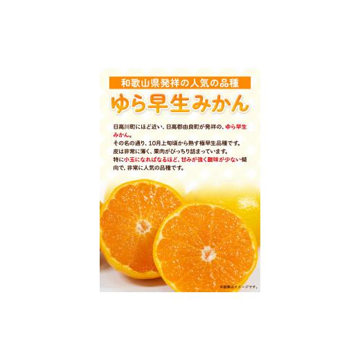 ふるさと納税 果物類 みかん 和歌山県 日高川町  先行予約 訳あり ゆら 早生 みかん 約 5kg (2S〜Lサイズ) どの坂果樹園《10月中旬-12月上旬頃出荷》 和歌山県… |  | 03