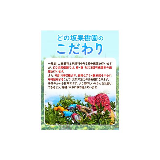 ふるさと納税 果物類 みかん 和歌山県 日高川町  先行予約 訳あり ゆら 早生 みかん 約 5kg (2S〜Lサイズ) どの坂果樹園《10月中旬-12月上旬頃出荷》 和歌山県… |  | 04