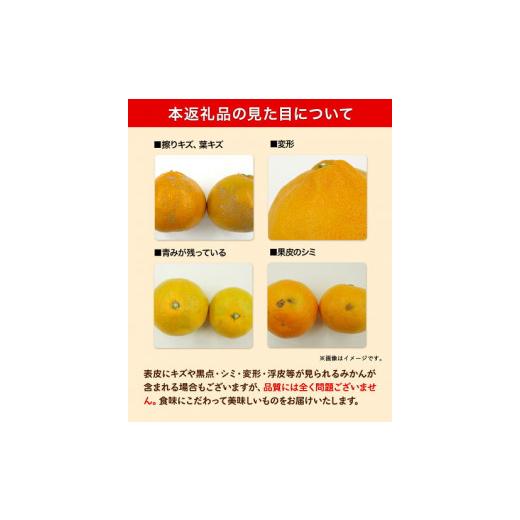 ふるさと納税 果物類 みかん 和歌山県 日高川町  先行予約 訳あり ゆら 早生 みかん 約 5kg (2S〜Lサイズ) どの坂果樹園《10月中旬-12月上旬頃出荷》 和歌山県… |  | 06