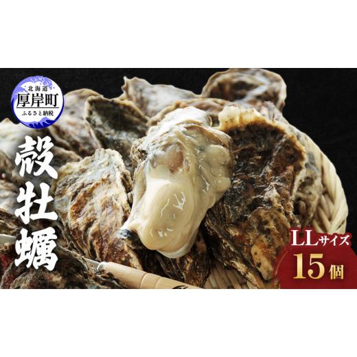 ふるさと納税 牡蠣 生牡蠣 北海道 厚岸町 牡蠣 厚岸産殻牡蠣 LL大きさ 15個 仕かける 魚介類 出どころ直送 生牡蠣 牡蛎 海の幸 海鮮 生食用 生食用牡蠣 No.586…