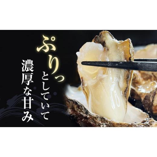 ふるさと納税 牡蠣 生牡蠣 北海道 厚岸町 牡蠣 厚岸産殻牡蠣 LL大きさ 15個 仕かける 魚介類 出どころ直送 生牡蠣 牡蛎 海の幸 海鮮 生食用 生食用牡蠣 No.586…