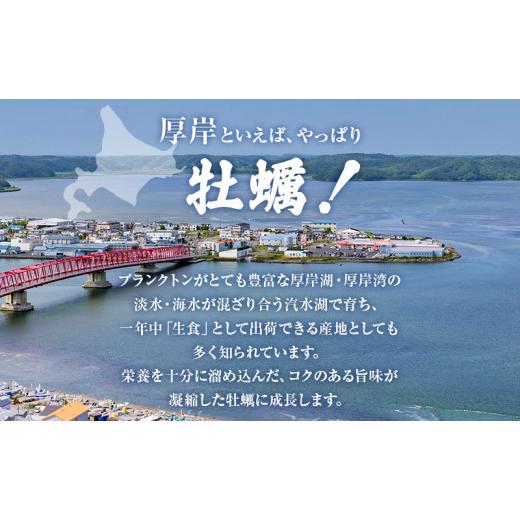 ふるさと納税 牡蠣 生牡蠣 北海道 厚岸町 牡蠣 厚岸産殻牡蠣 LL大きさ 15個 仕かける 魚介類 出どころ直送 生牡蠣 牡蛎 海の幸 海鮮 生食用 生食用牡蠣 No.586…