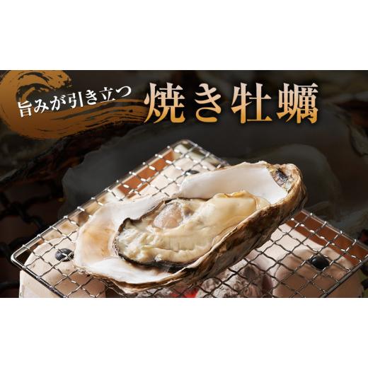 ふるさと納税 牡蠣 生牡蠣 北海道 厚岸町 牡蠣 厚岸産殻牡蠣 LL大きさ 15個 仕かける 魚介類 出どころ直送 生牡蠣 牡蛎 海の幸 海鮮 生食用 生食用牡蠣 No.586…